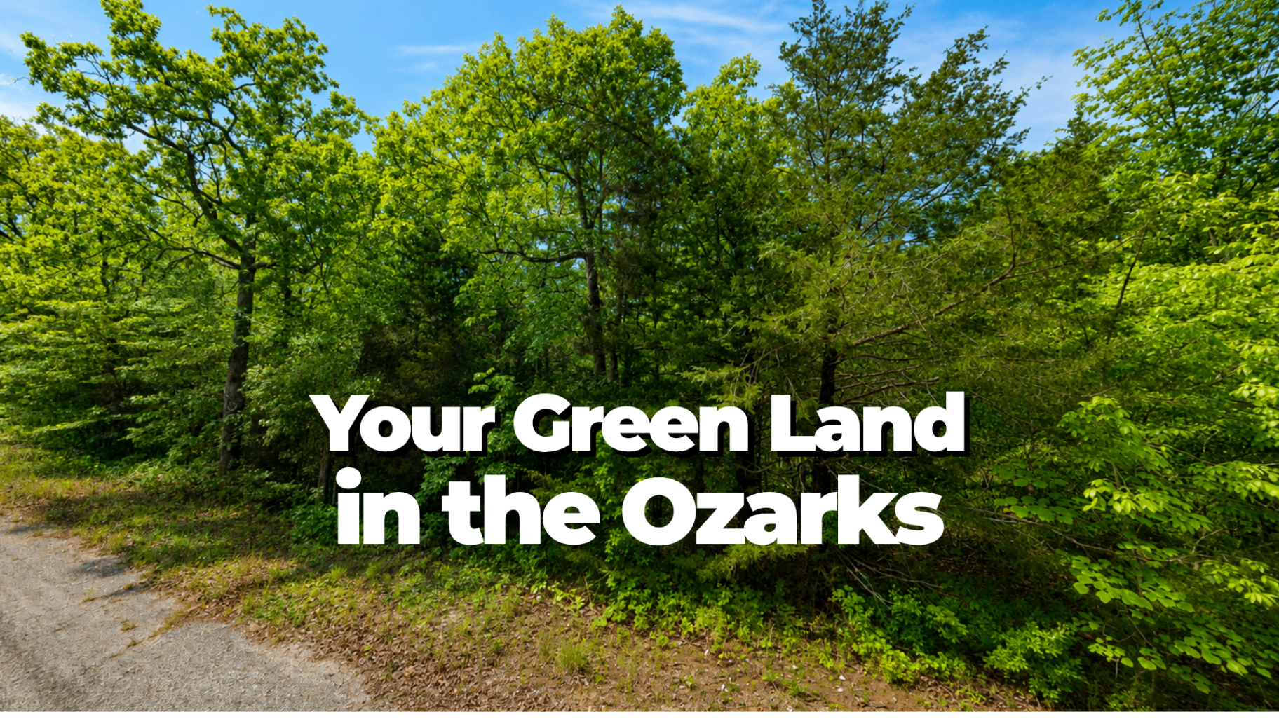 Wooded Residential Lot Near Turkey Mountain Golf Course — photo 2
